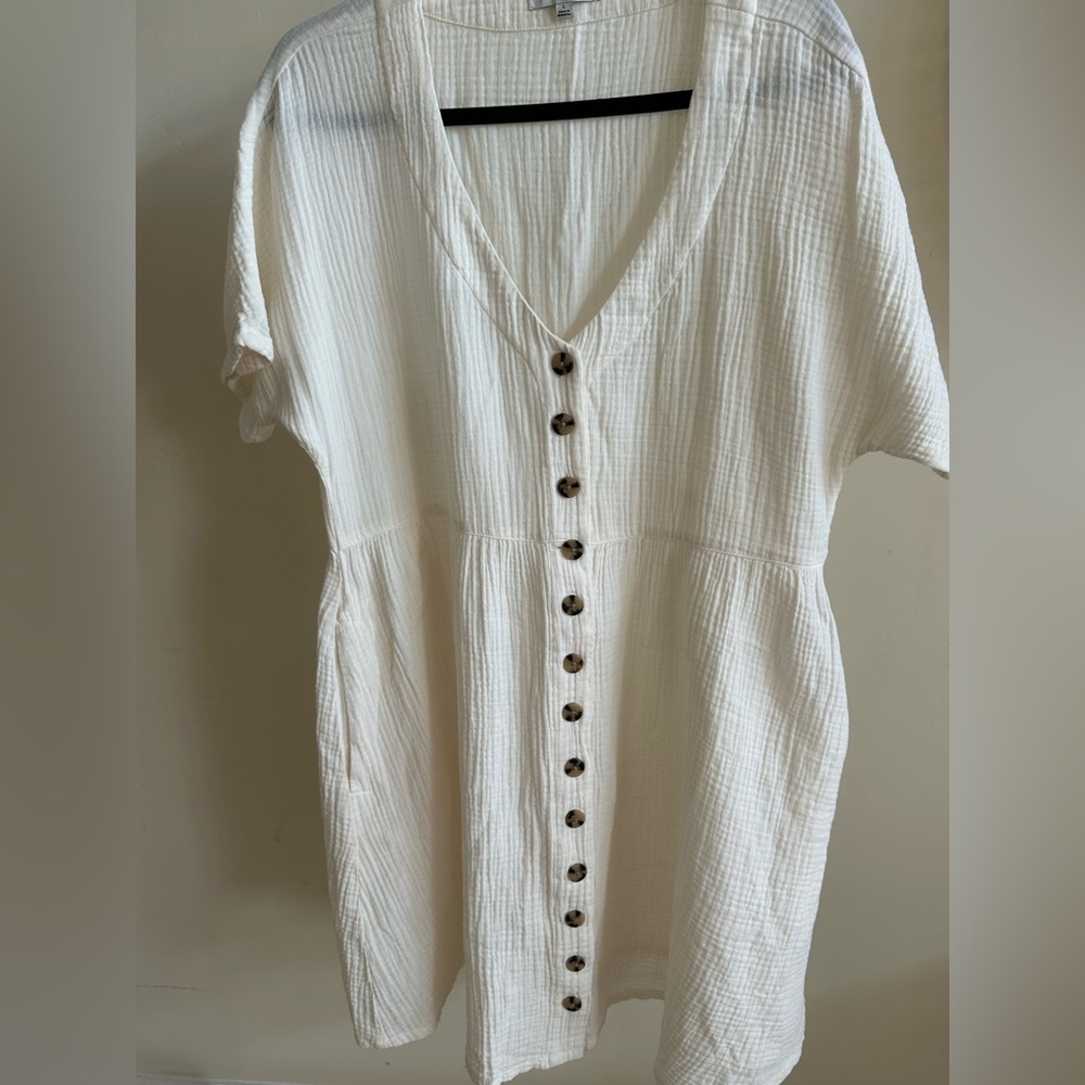 Off-White Button-Down V-Neck Dress